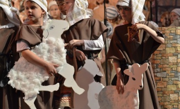 Kindermusical „Noah und die coole Arche“ am 11. Juni in St. Antonius